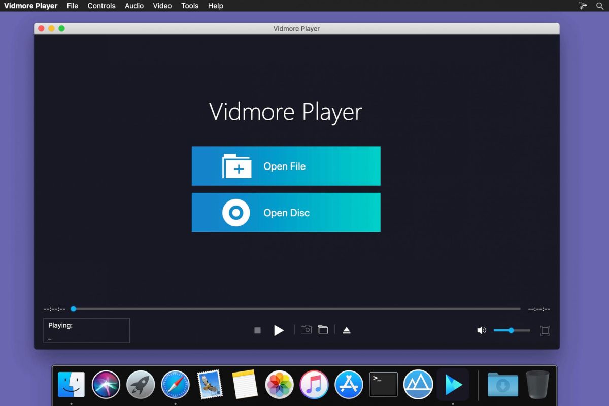 Sử dụng Vidmore Video Converter