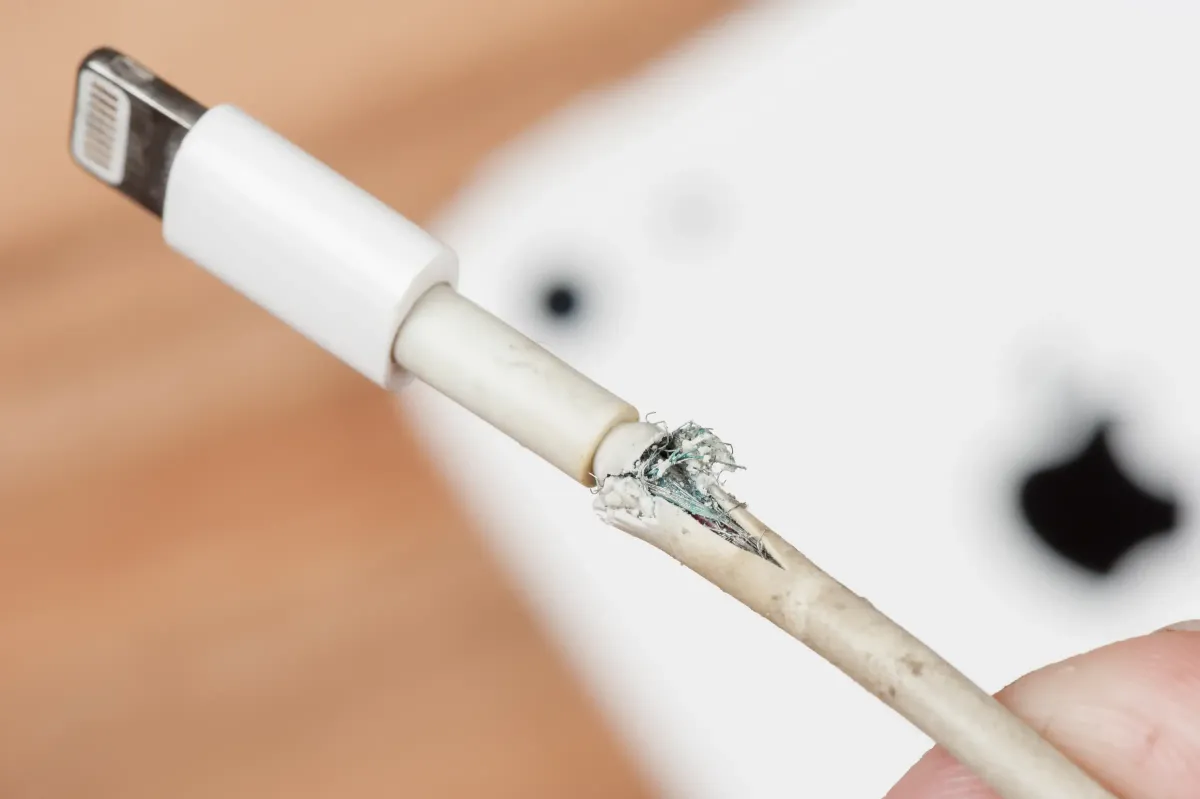 Kiểm tra cáp kết nối màn hình để khắc phục lỗi màn hình macbook bị giật bước 2