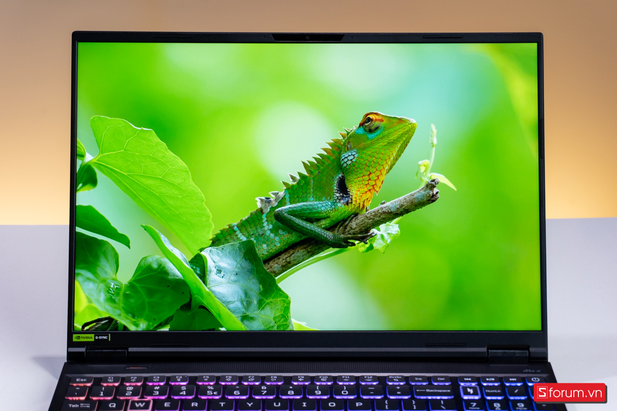 Trên tay Acer Nitro 16S AI ProPanel