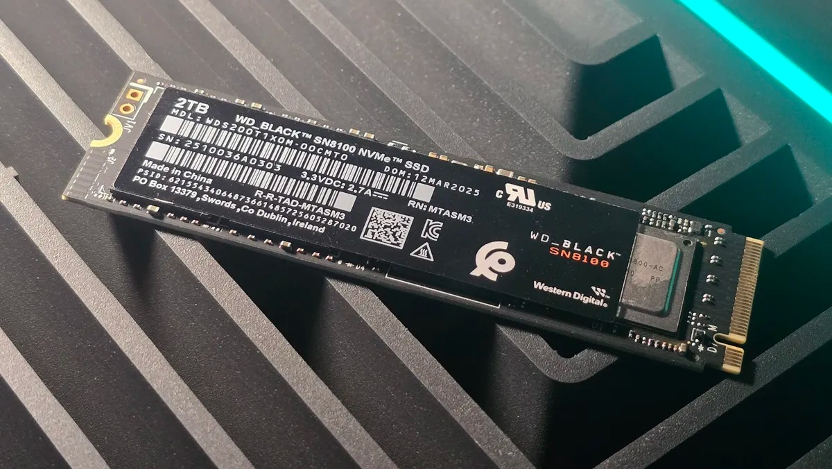 WD Black SN8100
