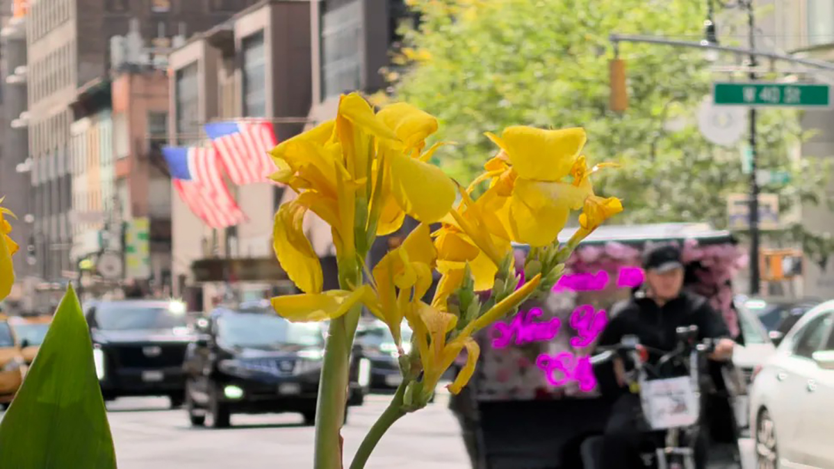 Ảnh chụp bằng iPhone 17 Pro Max