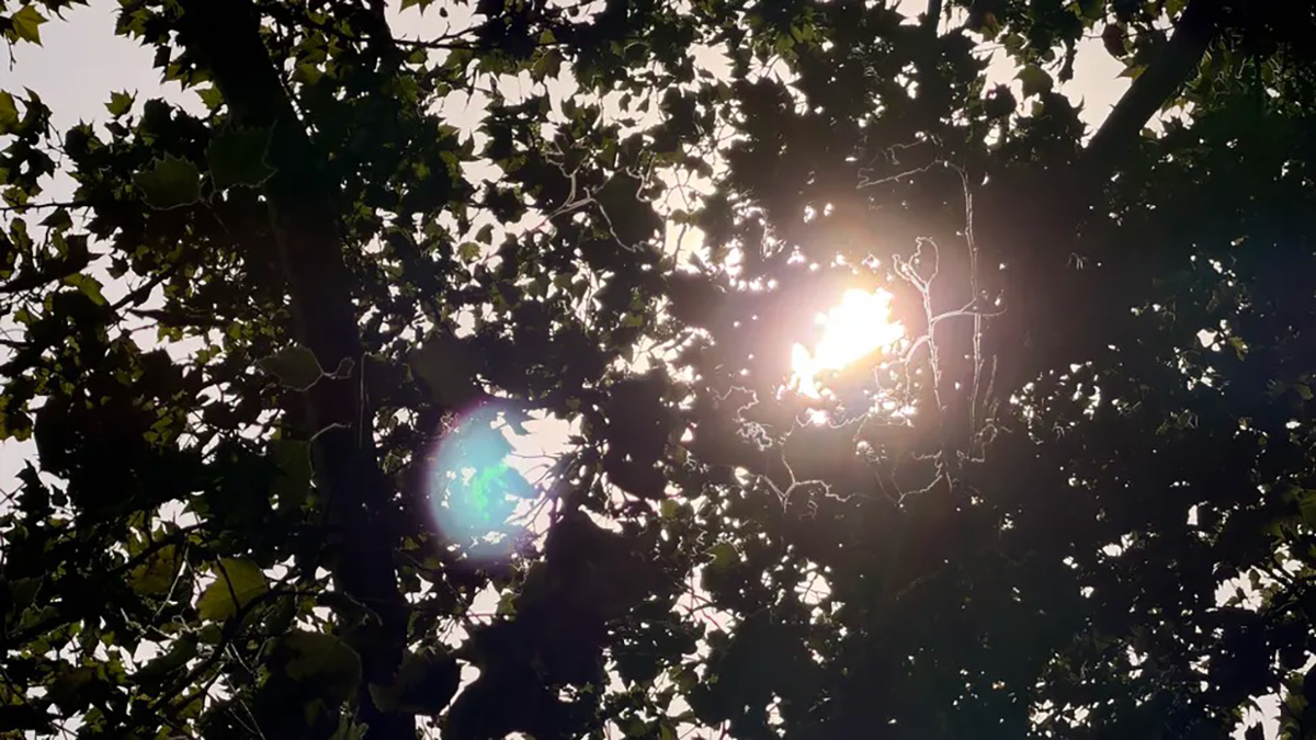 Ảnh chụp bằng iPhone 17 Pro Max