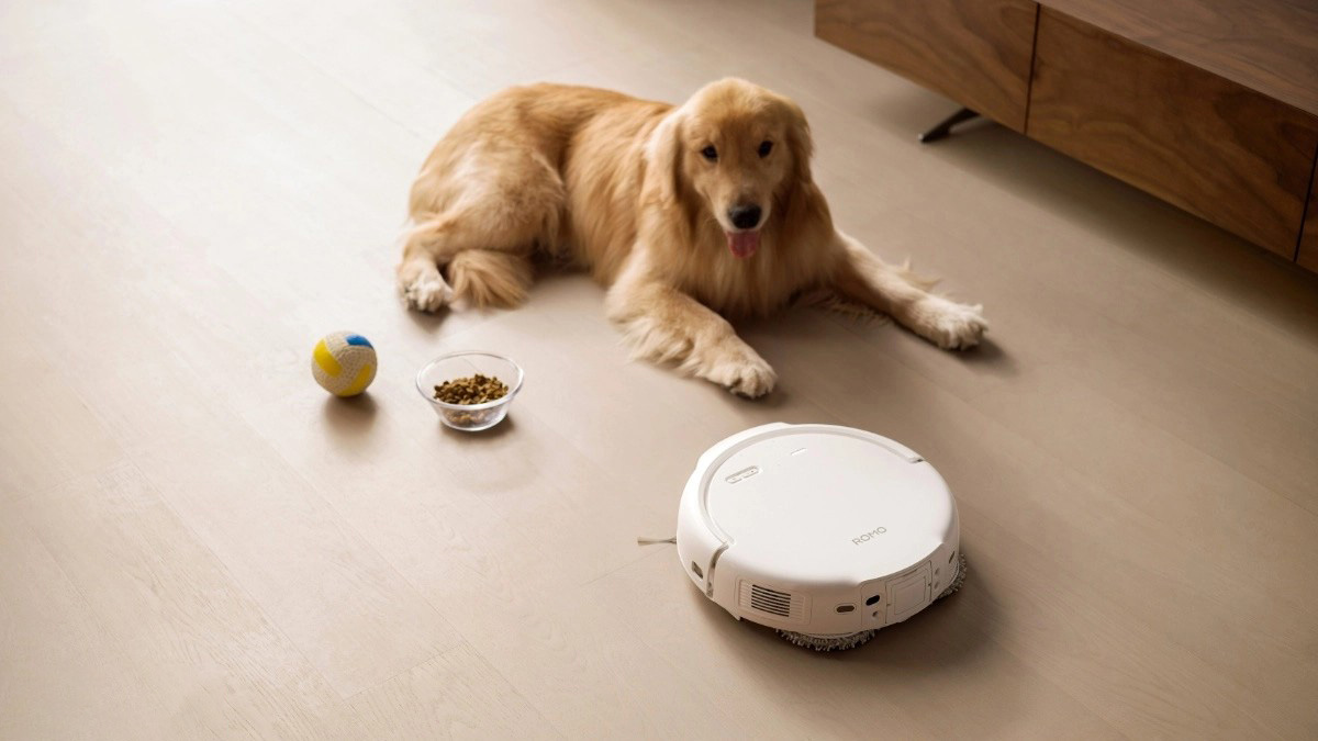 Robot DJI Romo S có khả năng nhận diện vật cản, tránh và di chuyển linh hoạt