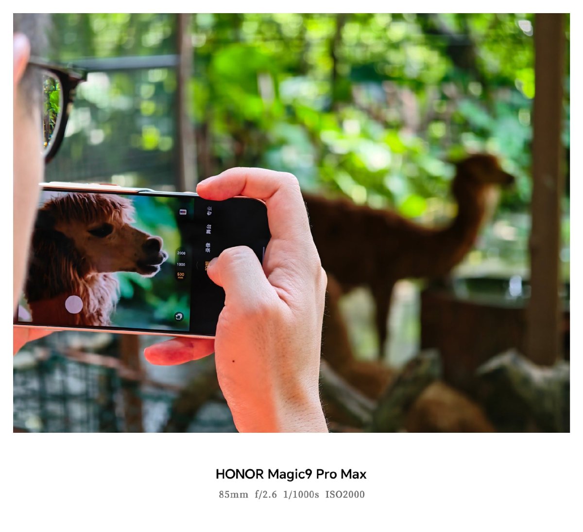 HONOR khoe ảnh chụp của flagship Magic9 Pro Max sắp ra mắt