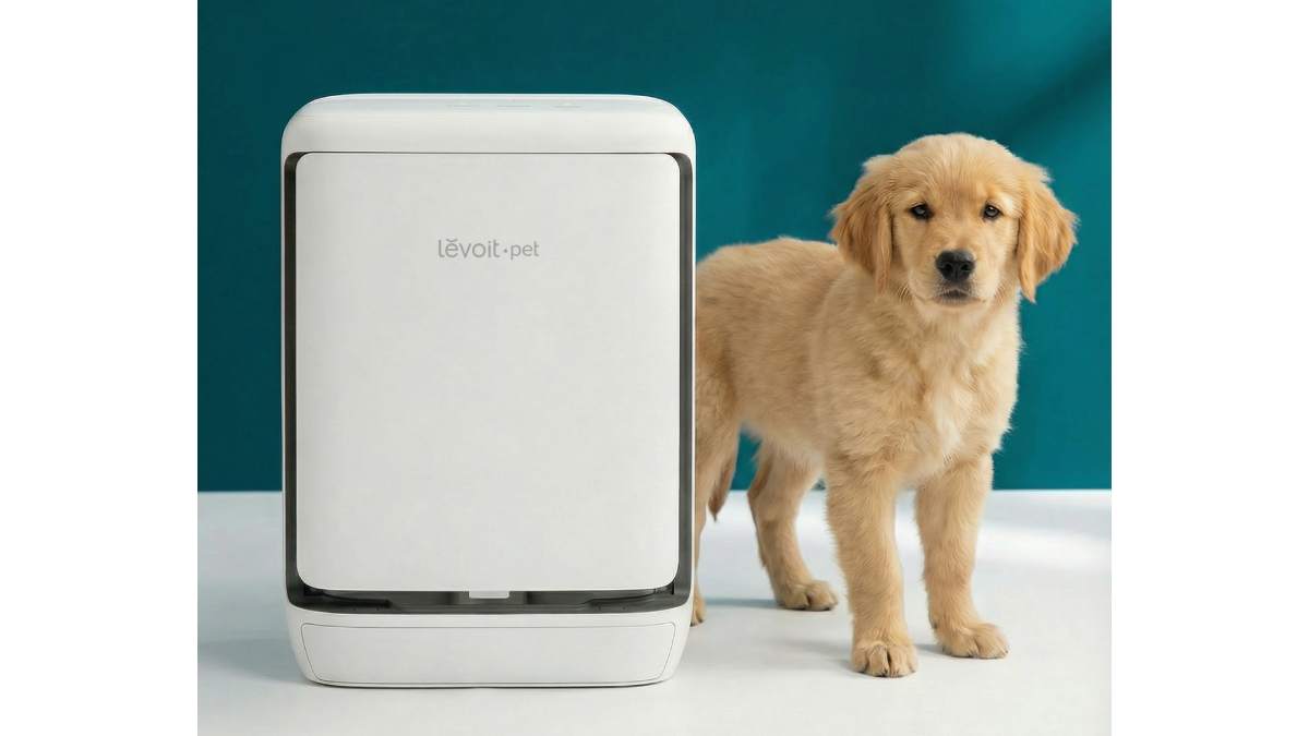 Levoit Eleva 300X ra mắt