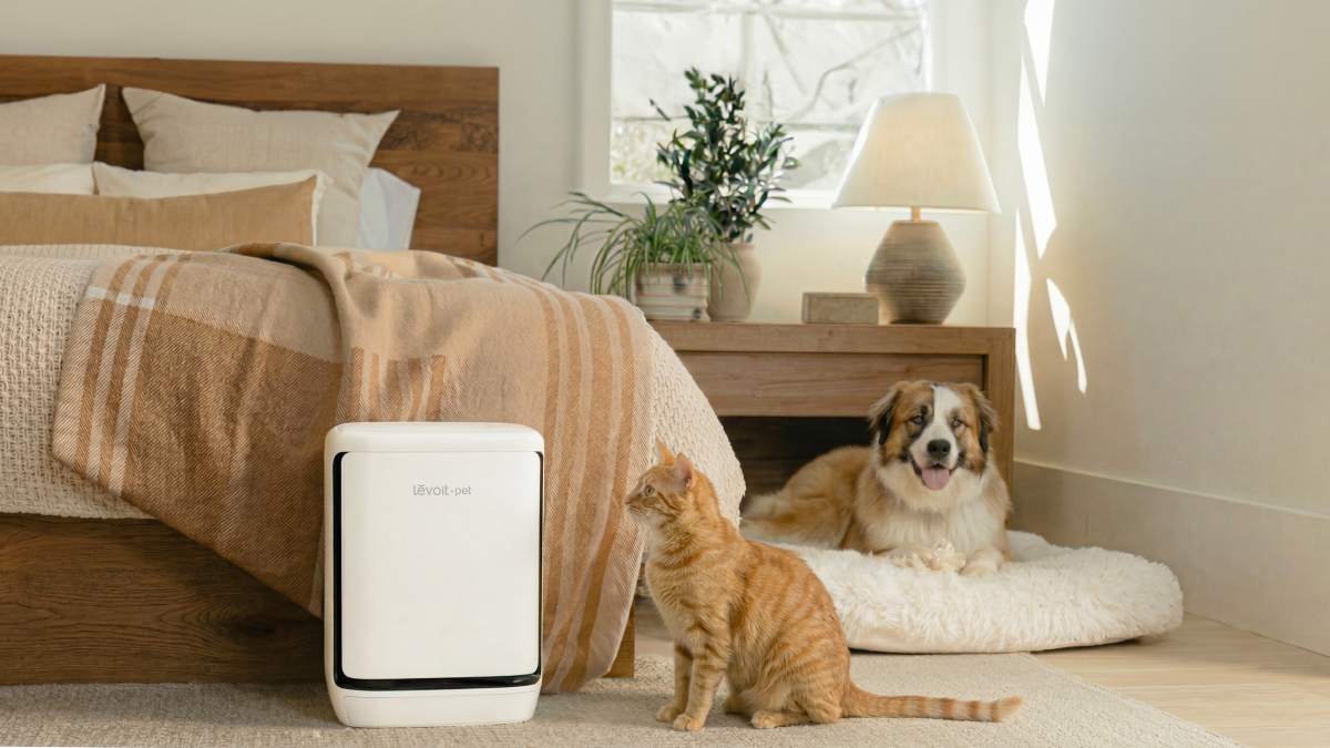 Máy lọc không khí Levoit Vital Pet Pro ra mắt: Giải pháp thông minh dành cho nhà nuôi thú cưng