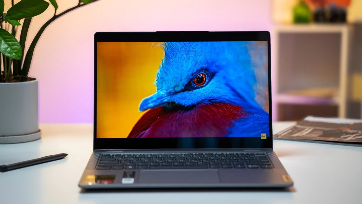 Đây là deal hời flash sale laptop văn phòng 15/8