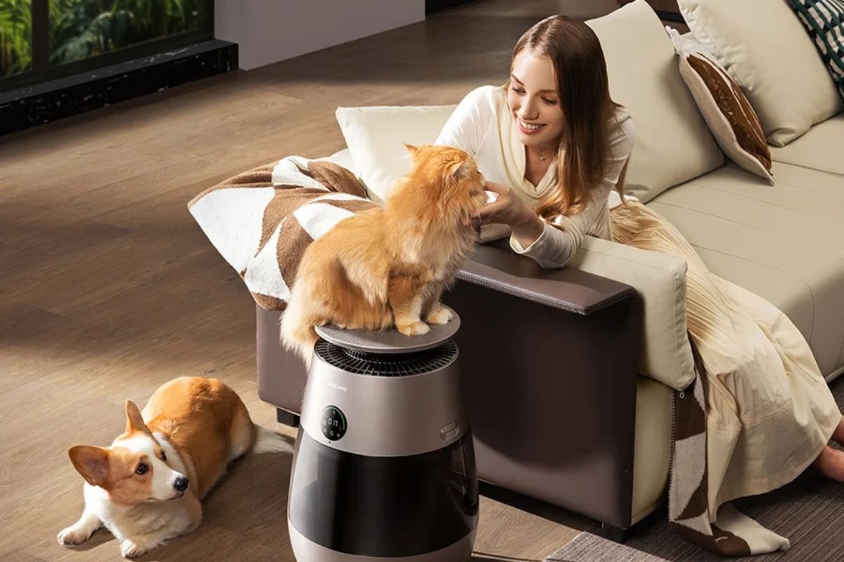 Màng tiền lọc tốt giúp giữ lại lông thú cưng và hạt bụi lớn