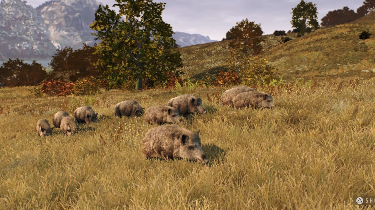 Way of the Hunter - Wild Europe mang trải nghiệm nhập vai săn bắn đến game thủ mobile