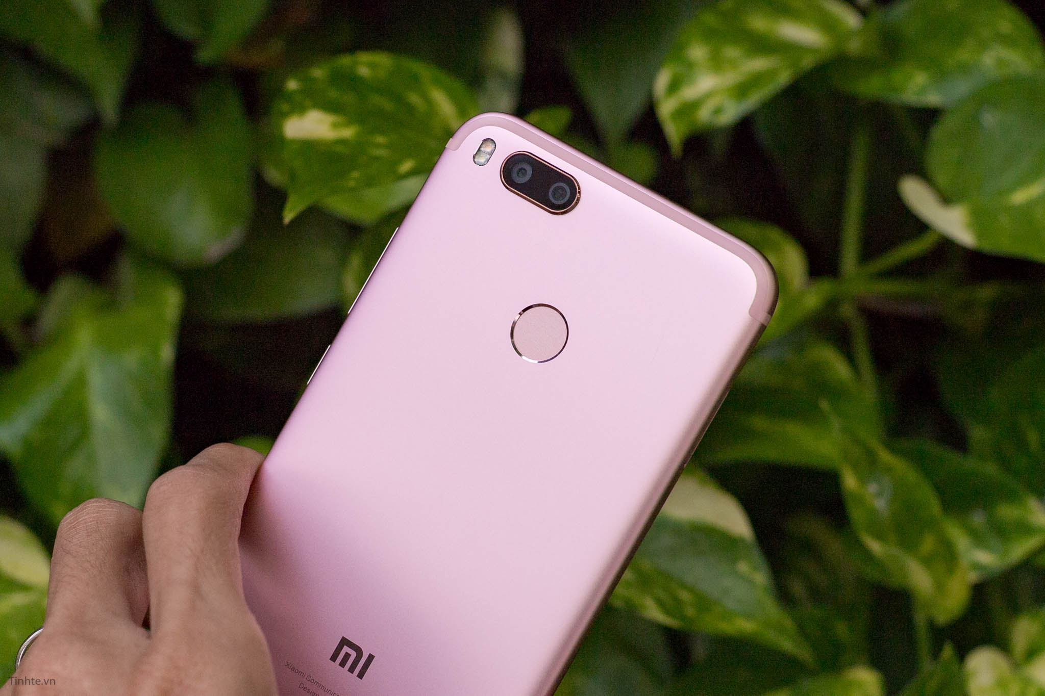 Người dùng than phiền Android 8.0 trên Mi A1 nhiều lỗi, Xiaomi đang cố gắng khắc phục