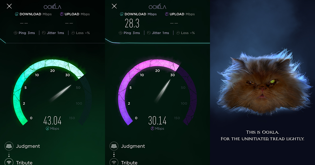 Vô tình kiểm tra tốc độ mạng, tôi phát hiện ứng dụng Speedtest.net bị mèo ma ám!