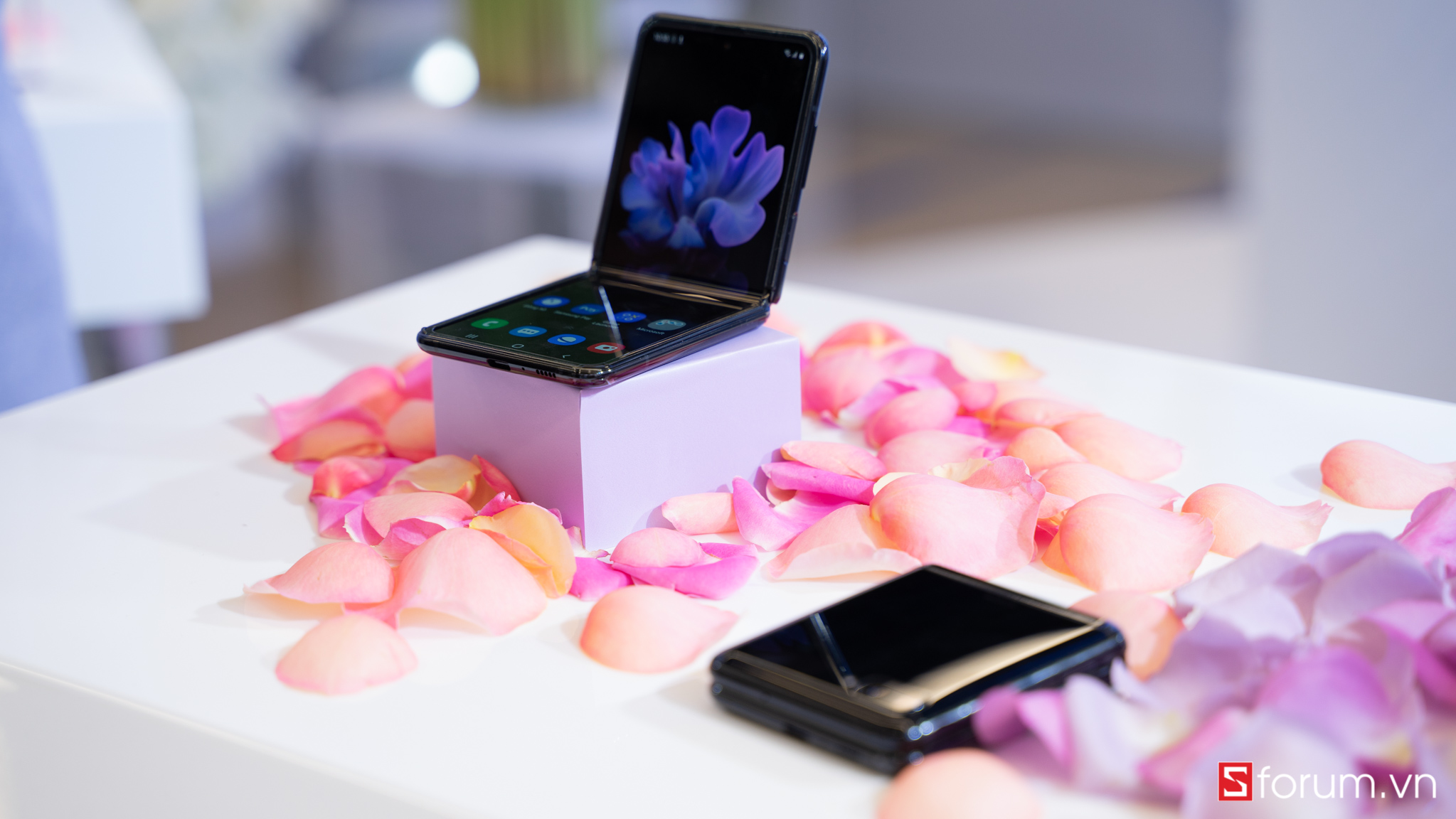 Đặt ngay Galaxy Z Flip tại CellphoneS nhận liền tay ưu đãi "hạng thương gia" hấp dẫn