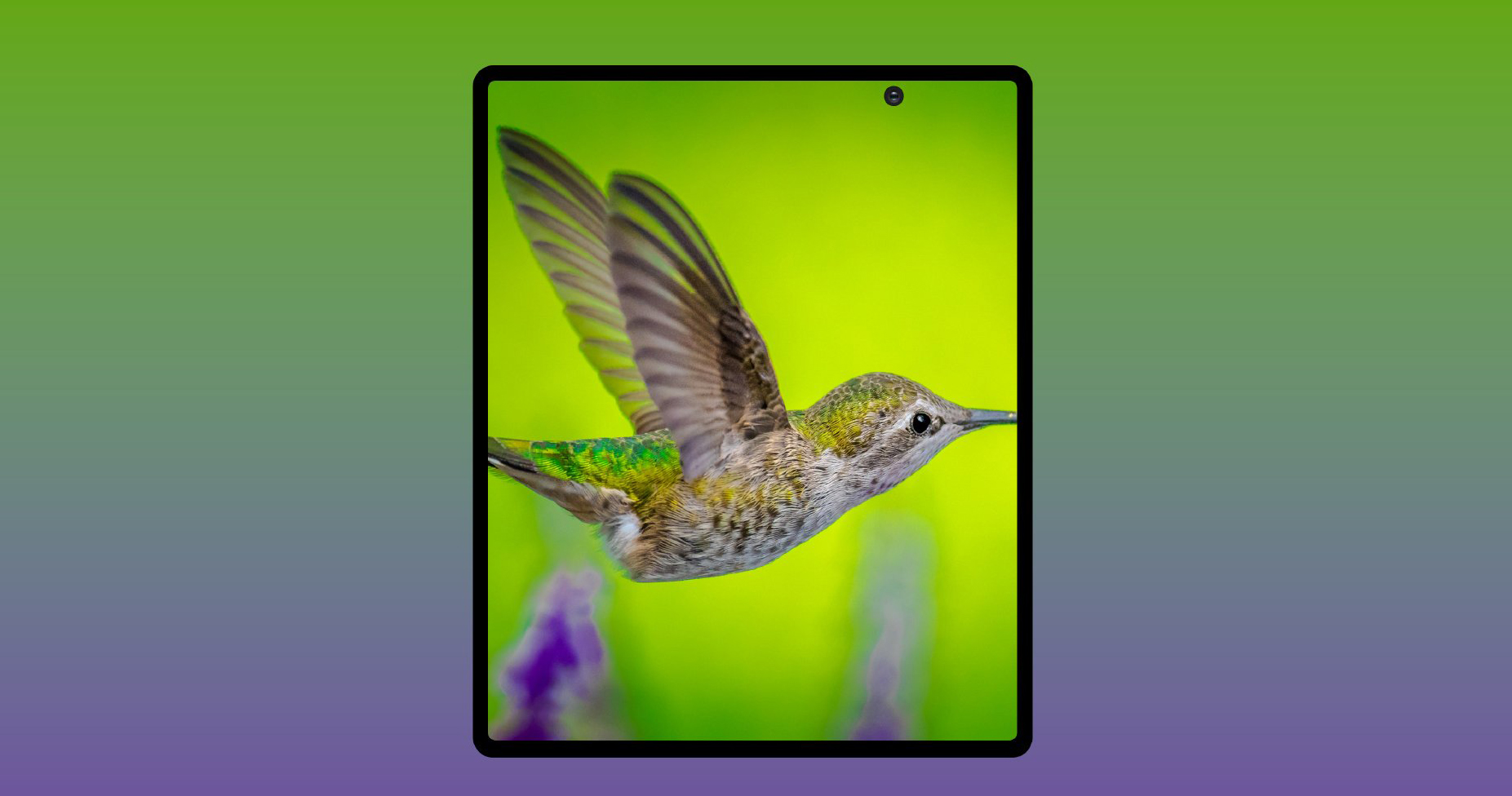 Galaxy Fold 2 được xác nhận hỗ trợ công nghệ sạc nhanh như dòng Galaxy S20