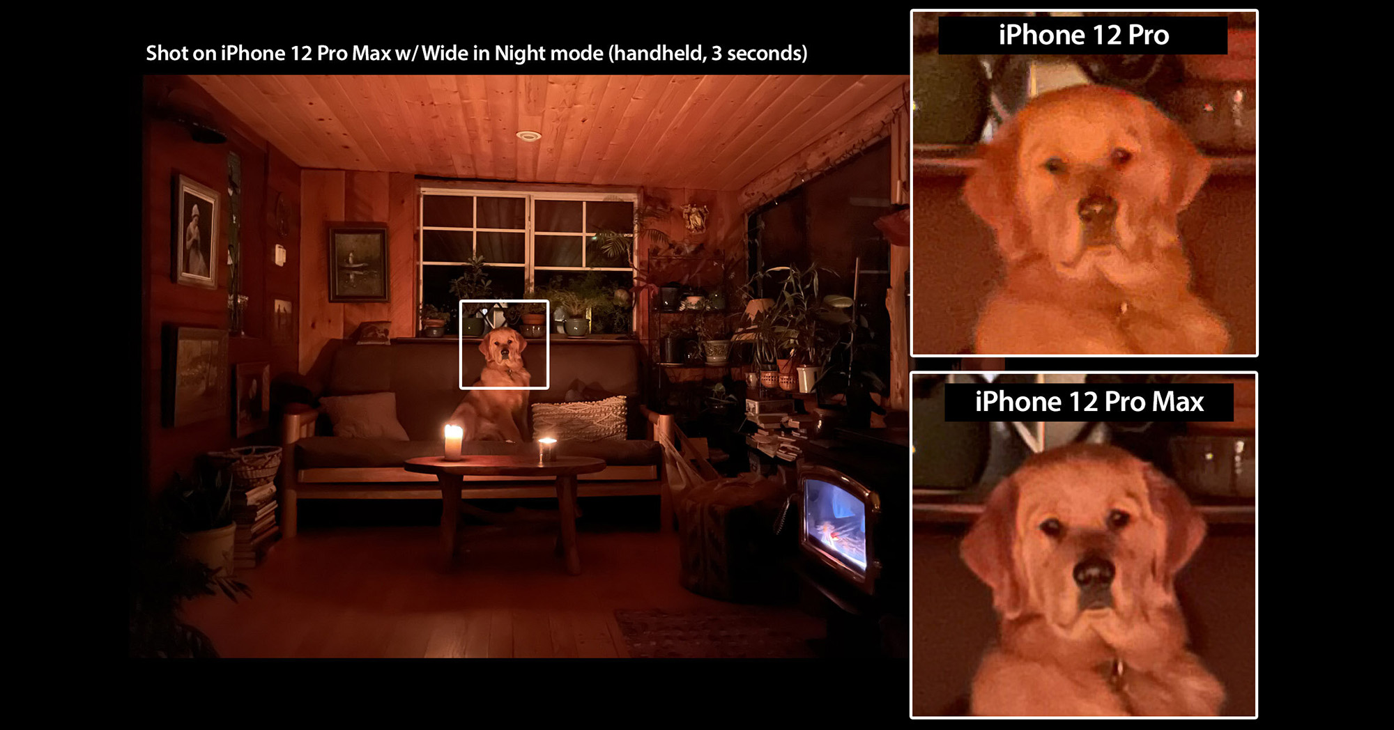 Đọ camera iPhone 12 Pro với iPhone 12 Pro Max: Đúng là có sự khác biệt nhưng không nhiều