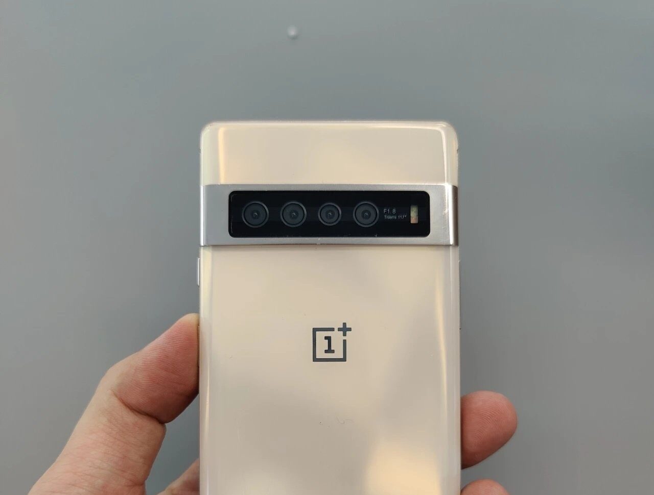 Vài năm trước, OnePlus từng thử nghiệm một chiếc smartphone có thiết kế giống hệt Pixel 6