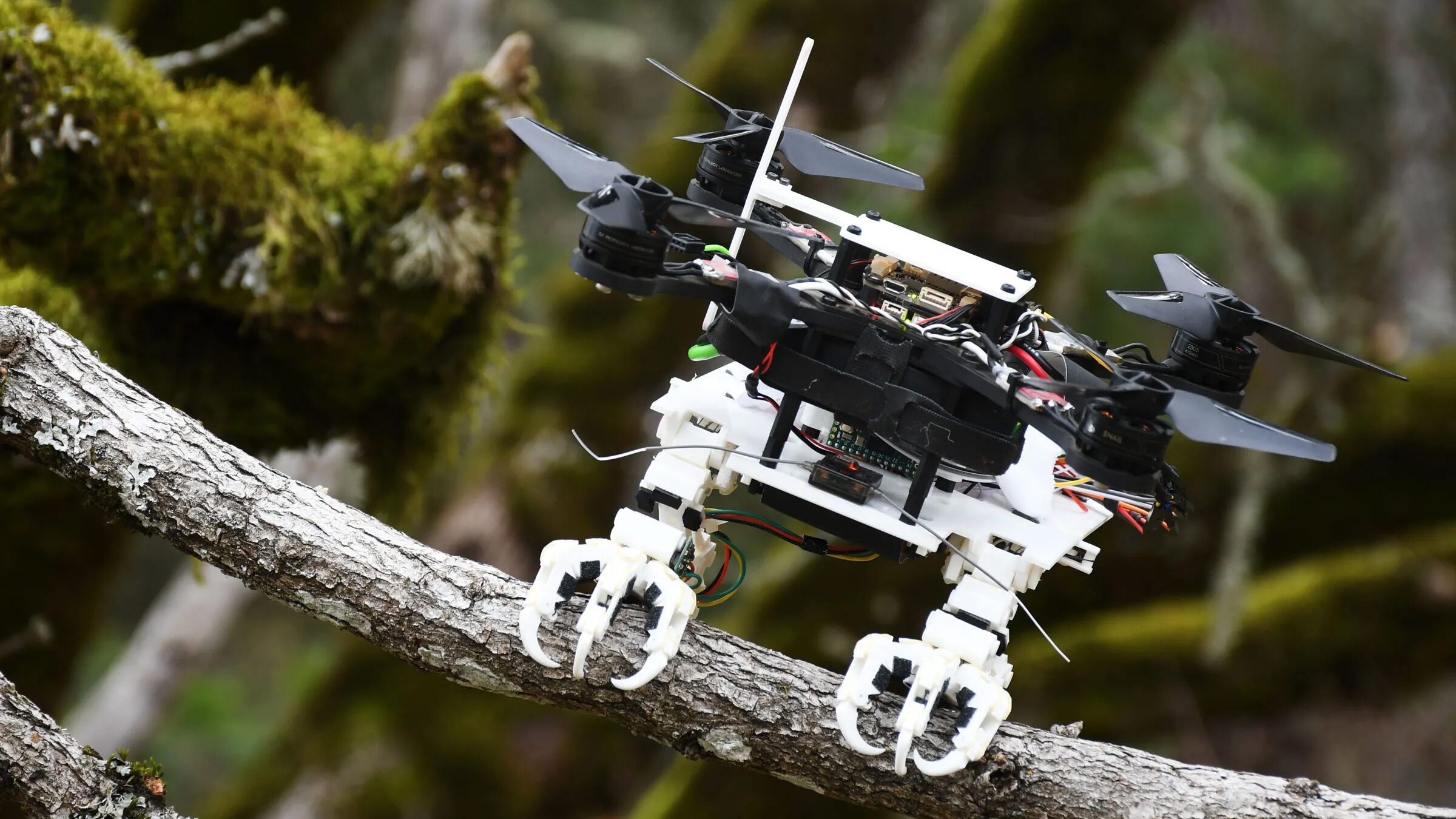 Bay mệt thì cũng phải nghỉ, giờ đây drone đã có thể đậu trên cây như chim nhờ vào thiết bị này
