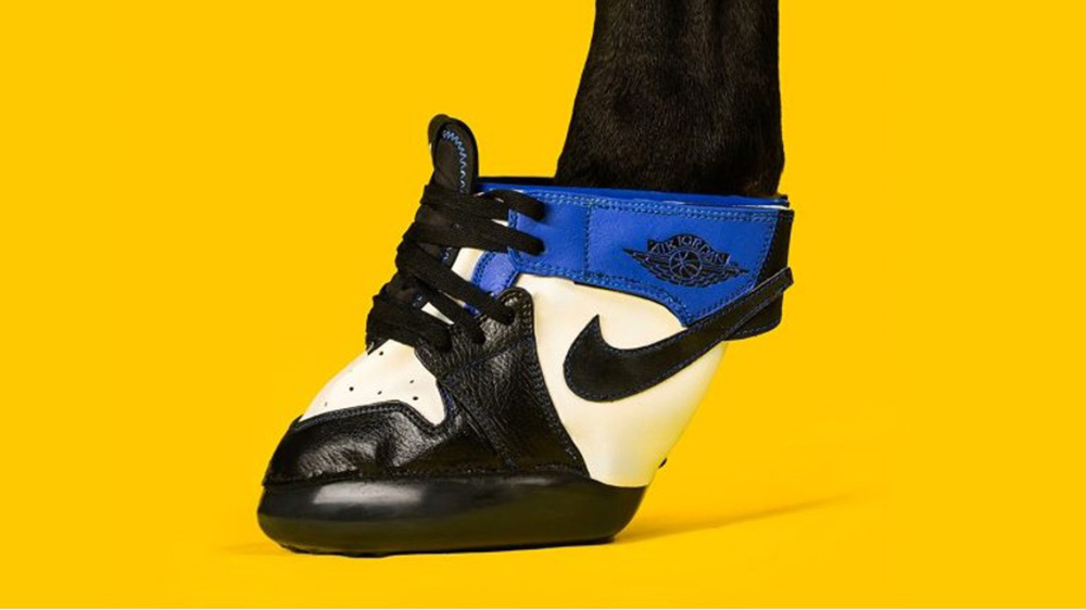 Sợ mang móng sắt đau chân, sneakerhead đóng luôn Jordan 1 và Yeezy 350 cho ngựa, giá 29 triệu mỗi bộ