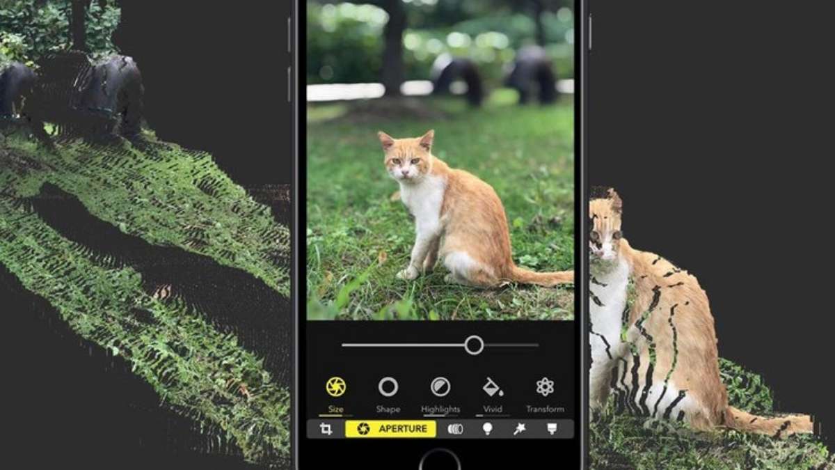 Hướng dẫn cách xóa phông ảnh trên iPhone với ứng dụng Focos