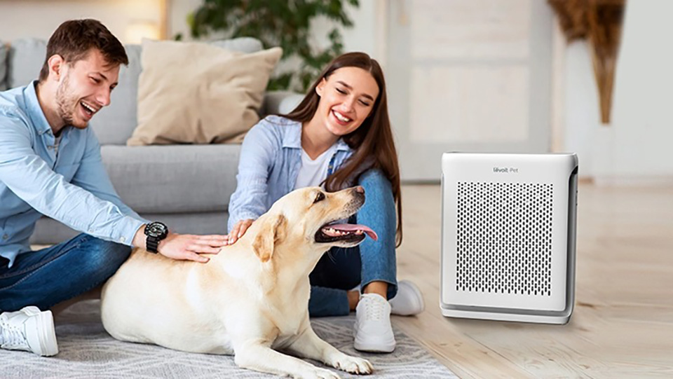 CellphoneS mở bán máy lọc không khí chống dị ứng thú cưng Levoit Vital 100S/200S với ưu đãi giảm giá hấp dẫn CellphoneS mở bán máy lọc không khí chống dị ứng thú cưng Levoit Vital 100S/200S với ưu đãi giảm giá hấp dẫn