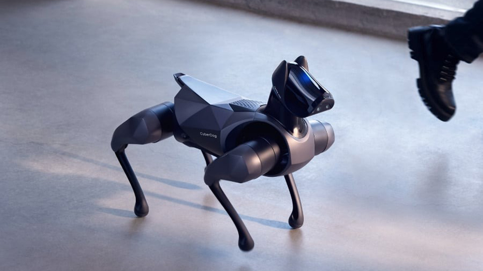 Xiaomi ra mắt chó robot CyberDog 2 với thiết kế cải tiến, 19 cảm biến, giá 42.66 triệu đồng Xiaomi ra mắt chó robot CyberDog 2 với thiết kế cải tiến, 19 cảm biến, giá 42.66 triệu đồng