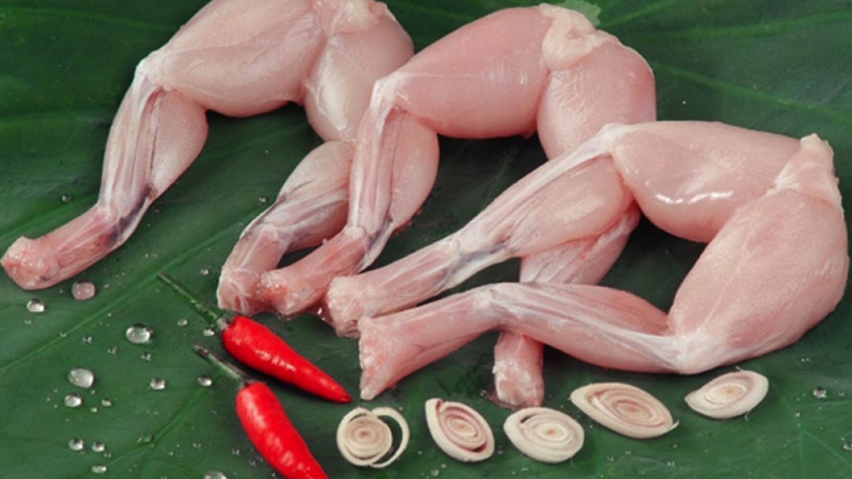 Chọn mua ếch tươi ngon và mẹo sơ chế đúng cách