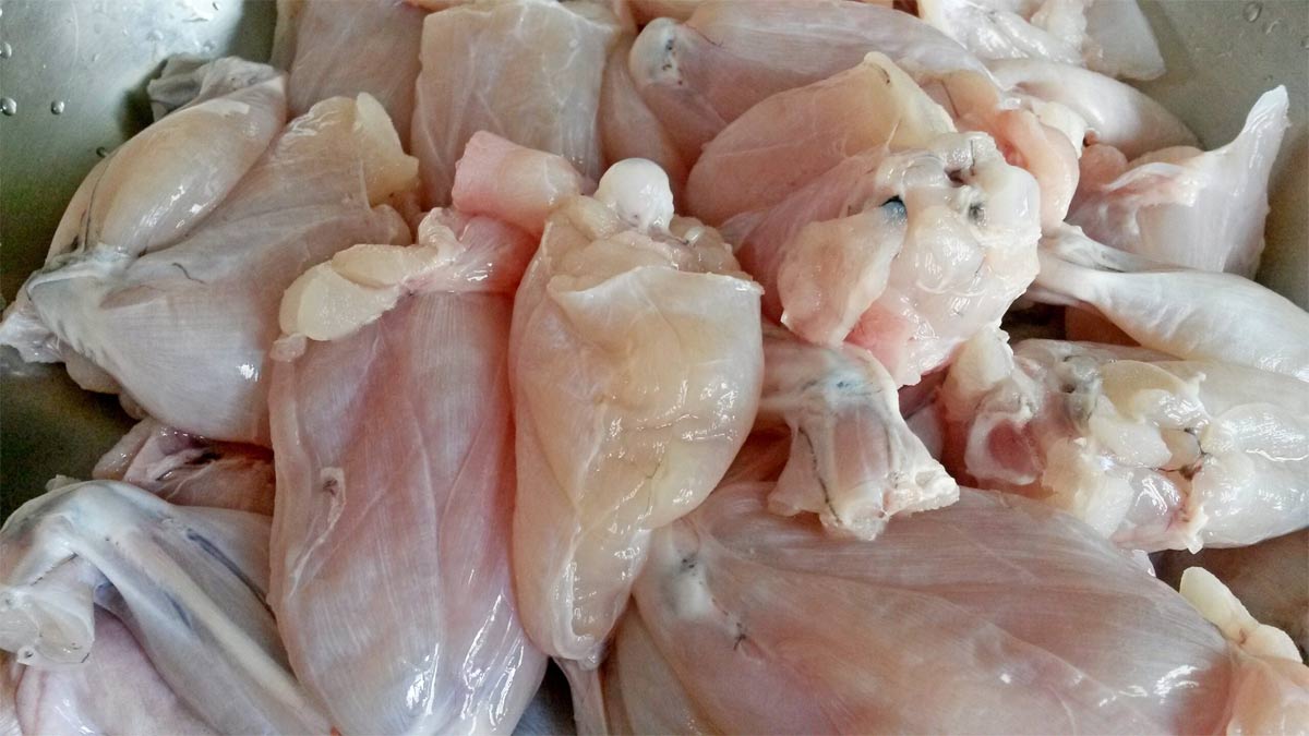 Chọn mua ếch tươi ngon và mẹo sơ chế đúng cách
