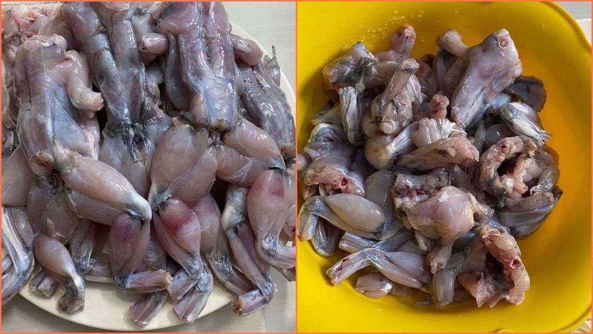 Cách làm lẩu ếch ngon với lá giang bước 1