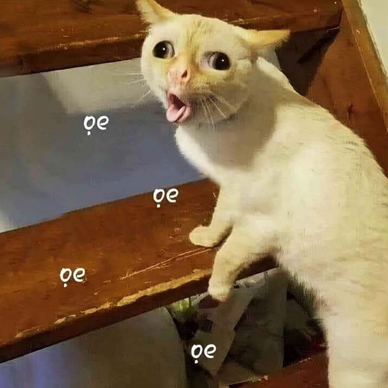 100+ ảnh meme hài hước, hài bựa vui nhộn mới nhất